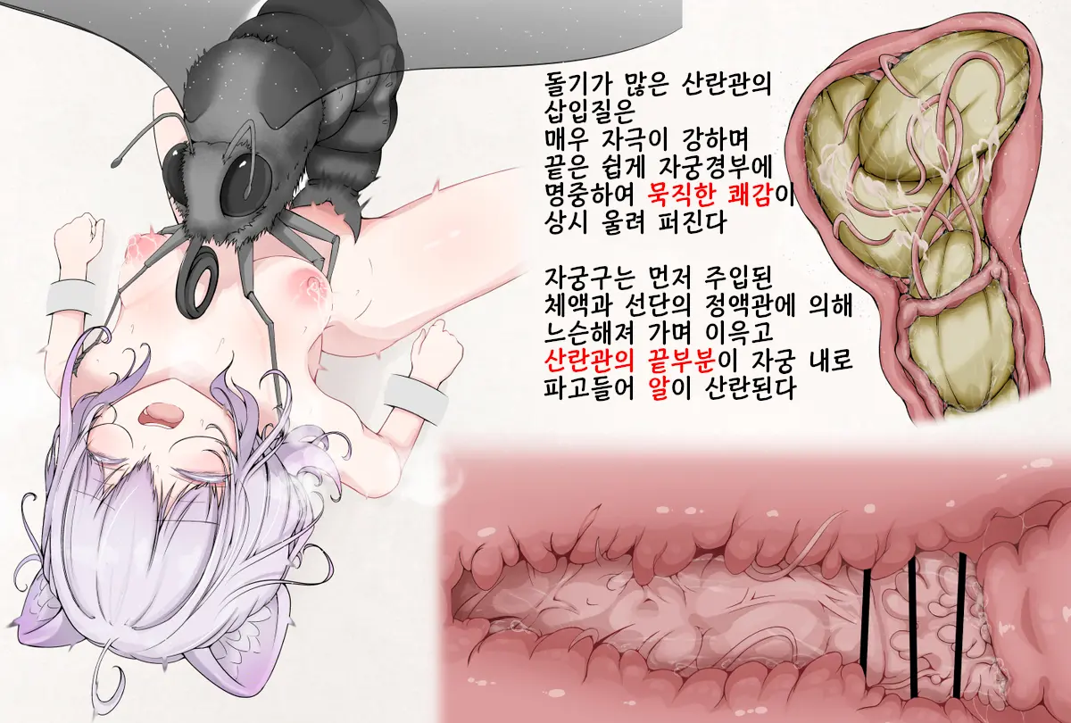 Mushi Research Report EX No.13